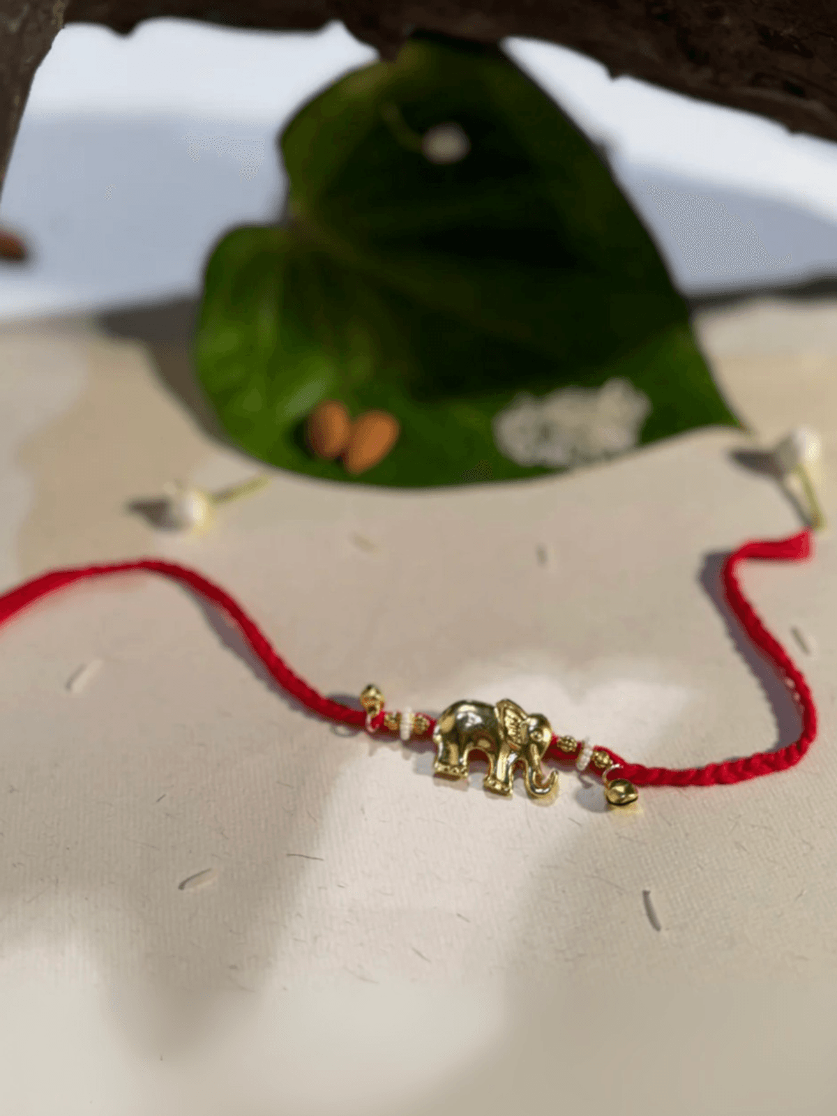 GAJRAJ - RAKHI SUTRA